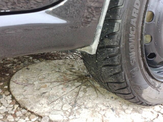 Черный Шевроле Авео, объемом двигателя 1.5 л и пробегом 187 тыс. км за 3332 $, фото 14 на Automoto.ua