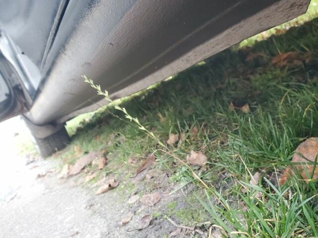 Черный Шевроле Авео, объемом двигателя 1.5 л и пробегом 300 тыс. км за 2100 $, фото 15 на Automoto.ua