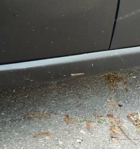 Черный Шевроле Авео, объемом двигателя 1.5 л и пробегом 187 тыс. км за 3450 $, фото 7 на Automoto.ua