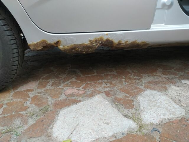 Серый Шевроле Авео, объемом двигателя 1.5 л и пробегом 120 тыс. км за 2500 $, фото 13 на Automoto.ua