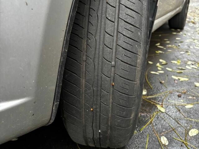 Серый Шевроле Авео, объемом двигателя 1.5 л и пробегом 220 тыс. км за 3300 $, фото 1 на Automoto.ua