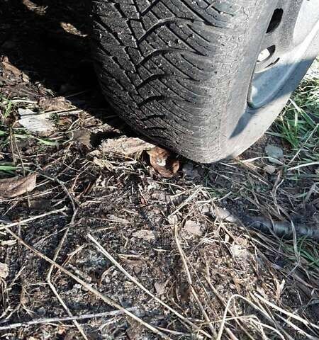 Серый Шевроле Авео, объемом двигателя 1.5 л и пробегом 320 тыс. км за 2000 $, фото 1 на Automoto.ua