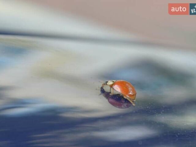 Шевроле Авео 2007 в Хмельницком на Automoto.ua Синий Шевроле Авео, объемом двигателя 1.5 л и пробегом 214 тыс. км за 3850 $, фото 41 на Automoto.ua