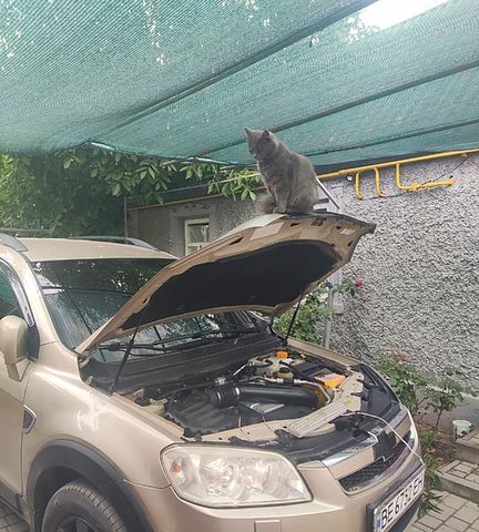 Бежевый Шевроле Каптива, объемом двигателя 3.2 л и пробегом 250 тыс. км за 7100 $, фото 8 на Automoto.ua