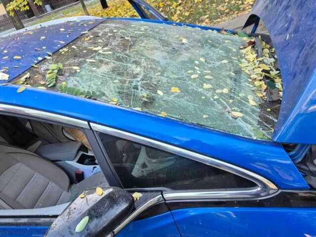 Синій Шевроле Інша, об'ємом двигуна 0 л та пробігом 147 тис. км за 7500 $, фото 9 на Automoto.ua