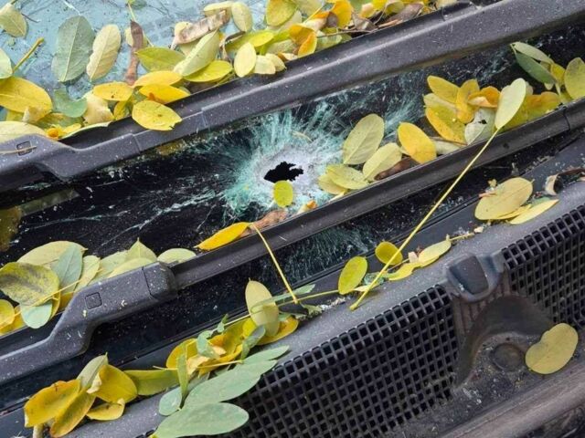 Синій Шевроле Інша, об'ємом двигуна 0 л та пробігом 147 тис. км за 7500 $, фото 5 на Automoto.ua