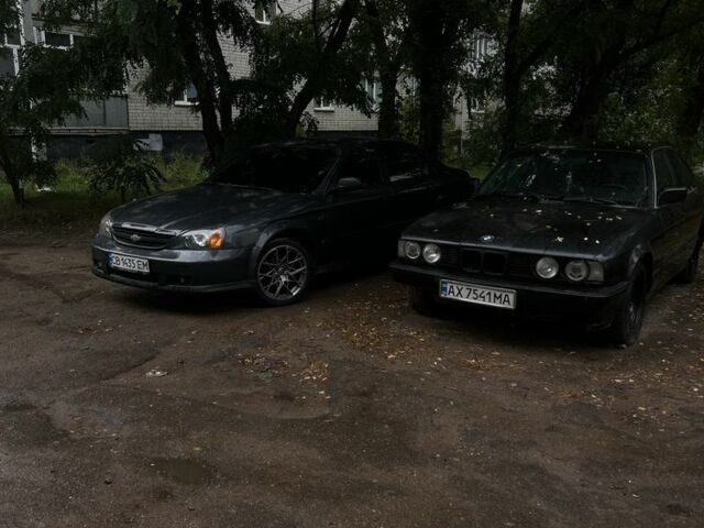 Шевроле Эванда 2005 в Чернигове на Automoto.ua Серый Шевроле Эванда, объемом двигателя 2 л и пробегом 351 тыс. км за 3800 $, фото 4 на Automoto.ua