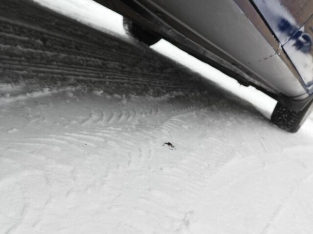 Синий Шевроле Лачетти, объемом двигателя 1.8 л и пробегом 180 тыс. км за 4100 $, фото 9 на Automoto.ua