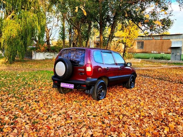 Шевроле Нива, объемом двигателя 1.7 л и пробегом 300 тыс. км за 2950 $, фото 4 на Automoto.ua
