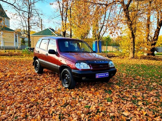 Шевроле Нива, объемом двигателя 1.7 л и пробегом 300 тыс. км за 2950 $, фото 2 на Automoto.ua