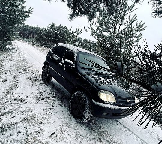 Шевроле Нива, об'ємом двигуна 1.7 л та пробігом 185 тис. км за 4500 $, фото 2 на Automoto.ua