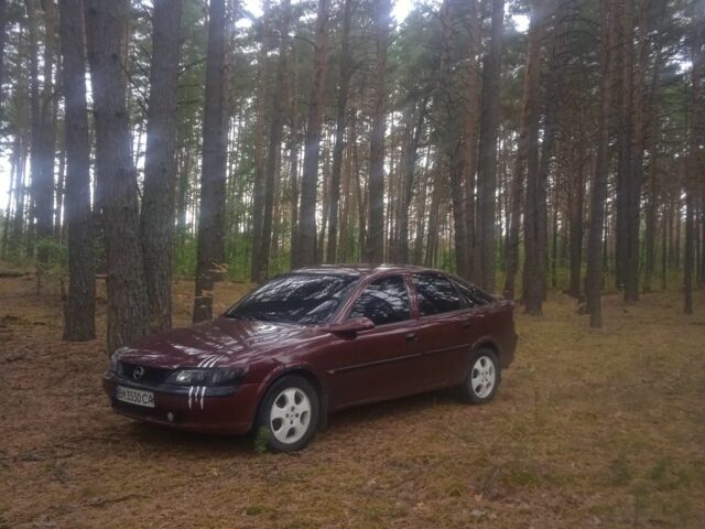 Шевроле Вектра 1996 в Шостке на Automoto.ua Красный Шевроле Вектра, объемом двигателя 0 л и пробегом 500 тыс. км за 2600 $, фото 1 на Automoto.ua