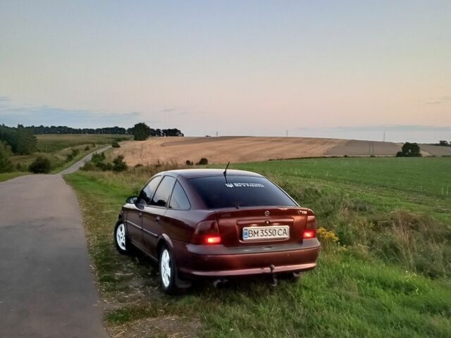 Шевроле Вектра 1996 в Шостке на Automoto.ua Красный Шевроле Вектра, объемом двигателя 0 л и пробегом 500 тыс. км за 2600 $, фото 2 на Automoto.ua