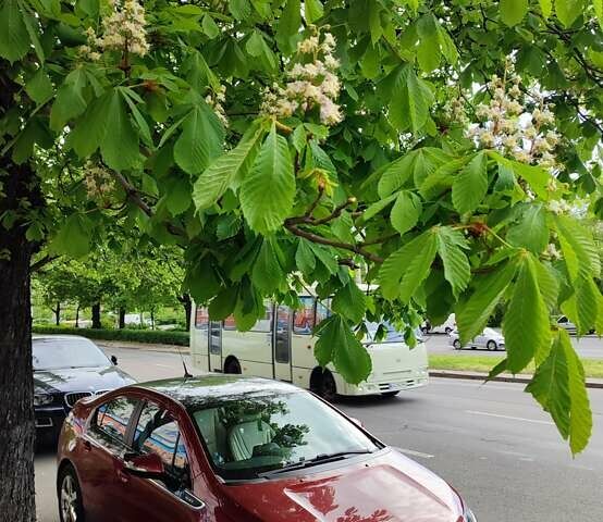 Красный Шевроле Вольт, объемом двигателя 1.4 л и пробегом 186 тыс. км за 14000 $, фото 4 на Automoto.ua