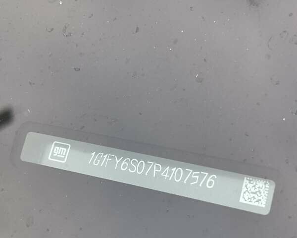 Синий Шевроле Bolt EUV, объемом двигателя 0 л и пробегом 57 тыс. км за 20900 $, фото 36 на Automoto.ua