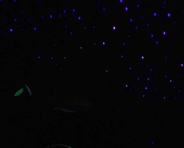 Белый Крайслер 300C, объемом двигателя 2.74 л и пробегом 200 тыс. км за 7999 $, фото 1 на Automoto.ua