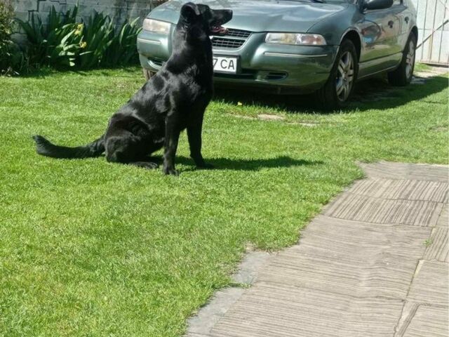 Зелений Крайслер Stratus, об'ємом двигуна 2 л та пробігом 142 тис. км за 3300 $, фото 6 на Automoto.ua