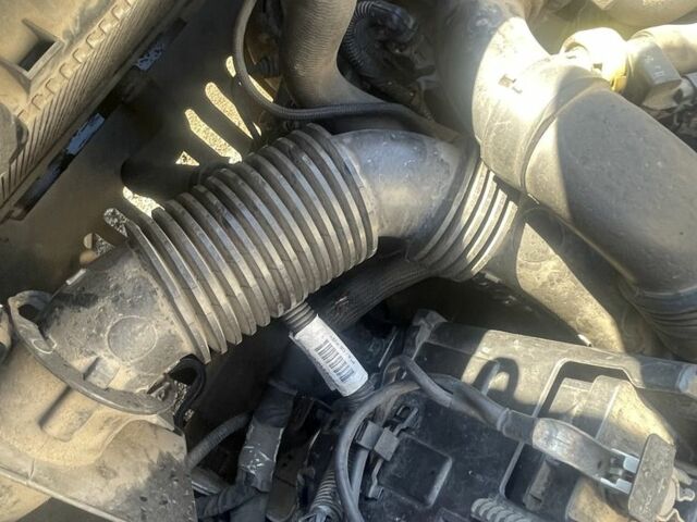 Белый Ситроен Берлинго, объемом двигателя 1.6 л и пробегом 298 тыс. км за 7100 $, фото 23 на Automoto.ua