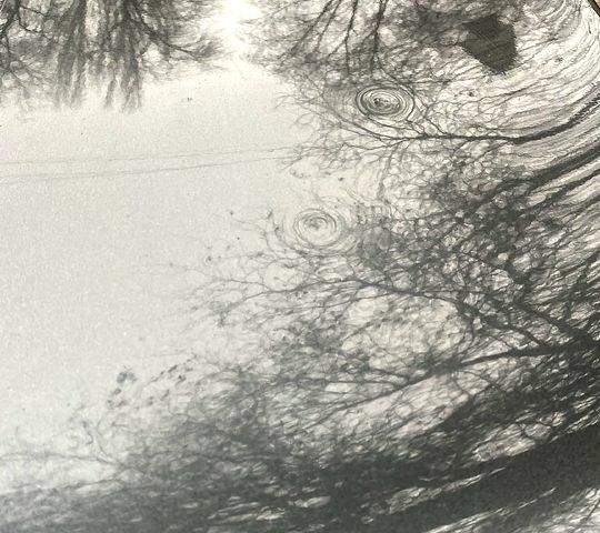 Серый Ситроен С-Элизе, объемом двигателя 1.2 л и пробегом 181 тыс. км за 5500 $, фото 9 на Automoto.ua