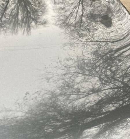 Сірий Сітроен С-Елізє, об'ємом двигуна 1.2 л та пробігом 181 тис. км за 5500 $, фото 8 на Automoto.ua