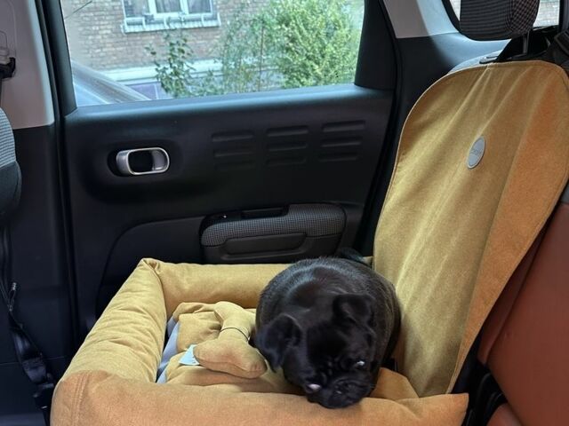 Чорний Сітроен Інша, об'ємом двигуна 1.2 л та пробігом 71 тис. км за 13500 $, фото 7 на Automoto.ua