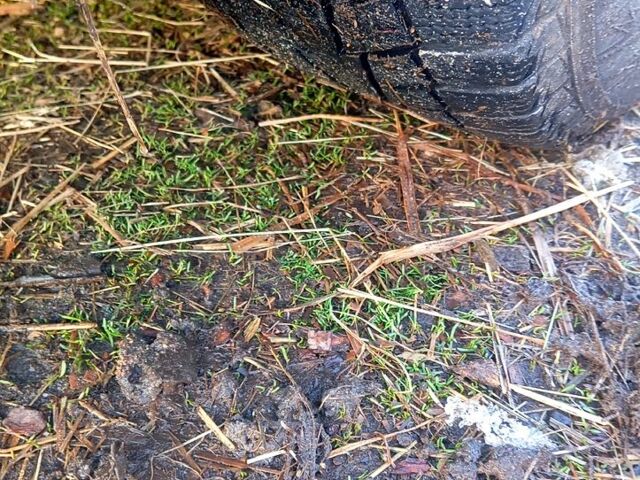 Серый Ситроен Ксара, объемом двигателя 1.4 л и пробегом 0 тыс. км за 1500 $, фото 8 на Automoto.ua