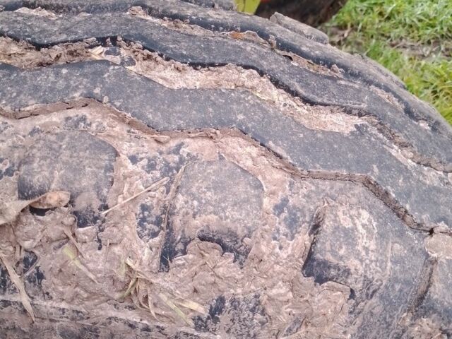 Зеленый Клаас Консул, объемом двигателя 0 л и пробегом 10 тыс. км за 17000 $, фото 8 на Automoto.ua