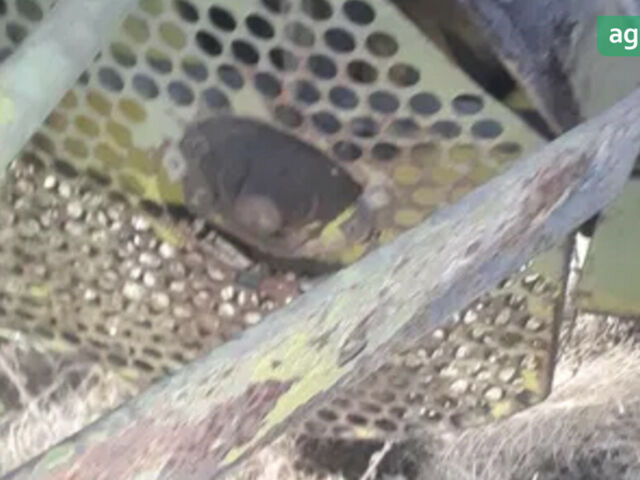 Клаас Доминатор, объемом двигателя 0 л и пробегом 0 тыс. км за 4286 $, фото 4 на Automoto.ua