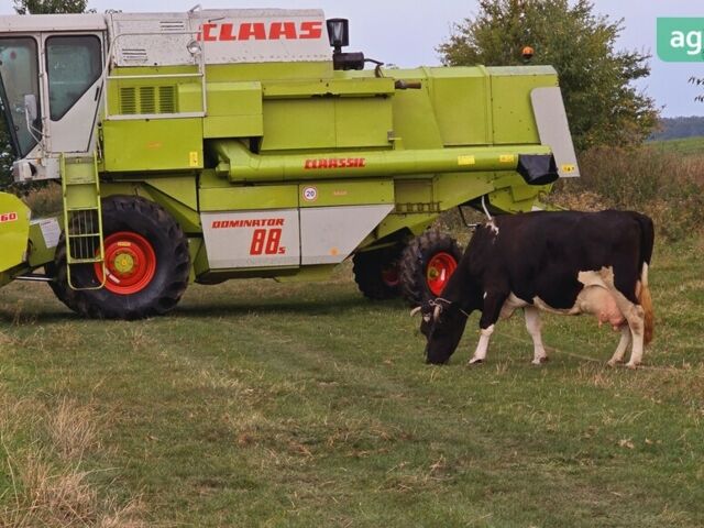 Клаас Домінатор, об'ємом двигуна 0 л та пробігом 0 тис. км за 38850 $, фото 6 на Automoto.ua