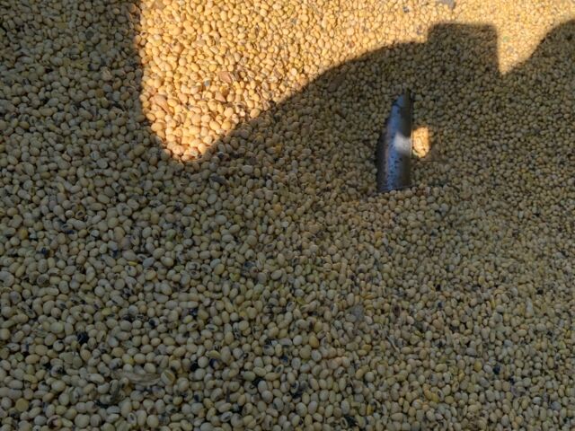 Клаас Другая, объемом двигателя 0 л и пробегом 0 тыс. км за 10000 $, фото 5 на Automoto.ua