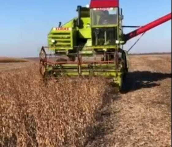 Клаас Другая, об'ємом двигуна 4 л та пробігом 0 тис. км за 10000 $, фото 2 на Automoto.ua