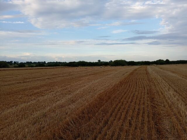 Клаас Другая, об'ємом двигуна 2.35 л та пробігом 2 тис. км за 19240 $, фото 8 на Automoto.ua