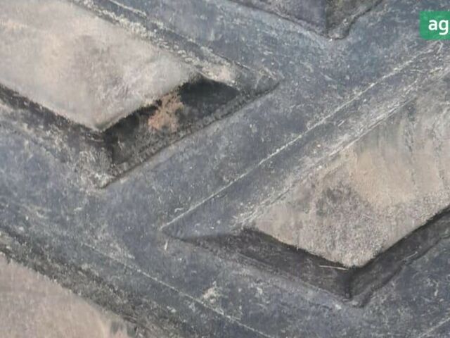 Клаас Lexion 770 TT, объемом двигателя 0 л и пробегом 4 тыс. км за 191901 $, фото 2 на Automoto.ua