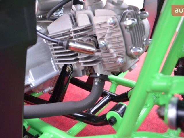 Comman Rival, объемом двигателя 0.13 л и пробегом 0 тыс. км за 1130 $, фото 13 на Automoto.ua