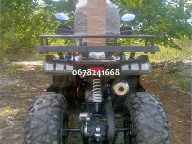 Comman Scorpion 200cc, объемом двигателя 0 л и пробегом 0 тыс. км за 1950 $, фото 2 на Automoto.ua