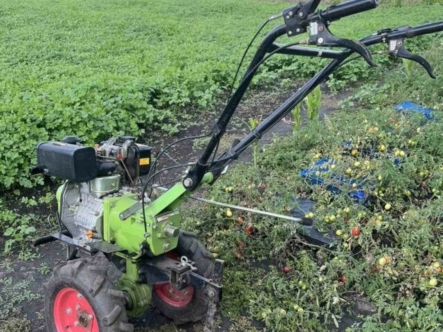 ДТЗ Інша, об'ємом двигуна 0.34 л та пробігом 200 тис. км за 389 $, фото 1 на Automoto.ua