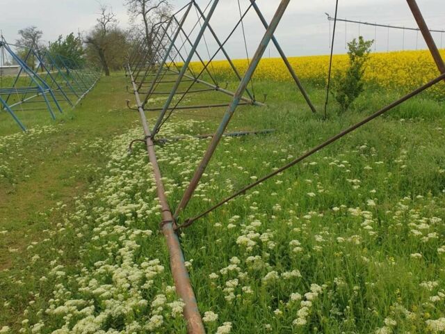 ДТЗ Другая, объемом двигателя 0 л и пробегом 0 тыс. км за 3000 $, фото 9 на Automoto.ua