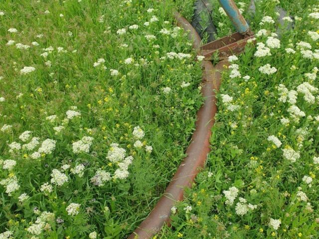 ДТЗ Другая, объемом двигателя 0 л и пробегом 0 тыс. км за 3000 $, фото 7 на Automoto.ua