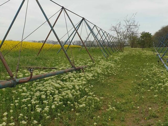 ДТЗ Другая, объемом двигателя 0 л и пробегом 0 тыс. км за 3000 $, фото 5 на Automoto.ua