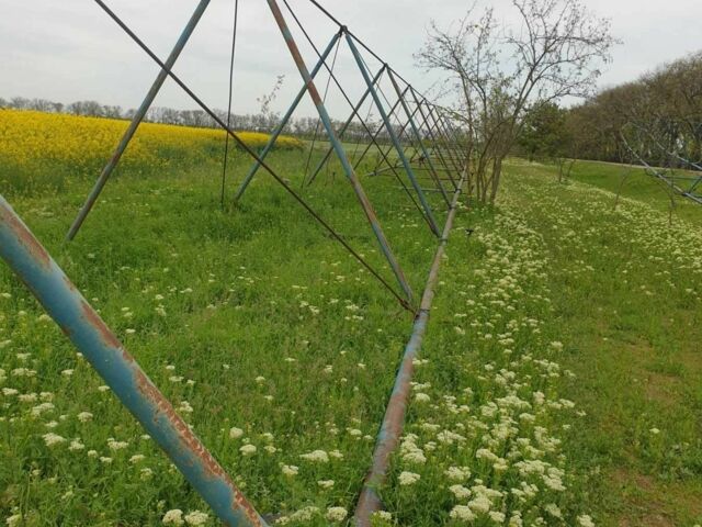 ДТЗ Другая, объемом двигателя 0 л и пробегом 0 тыс. км за 3000 $, фото 6 на Automoto.ua