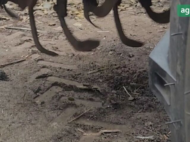 ДВ 404, об'ємом двигуна 2.56 л та пробігом 0 тис. км за 7008 $, фото 3 на Automoto.ua