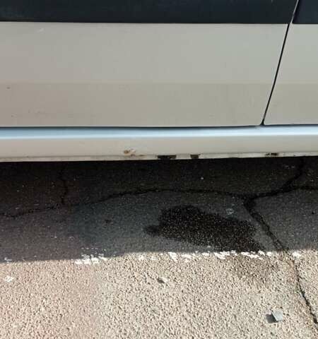 Дачія Logan 2008 у Житомирі на Automoto.ua Сірий Дачія Logan, об'ємом двигуна 1.6 л та пробігом 278 тис. км за 6000 $, фото 18 на Automoto.ua