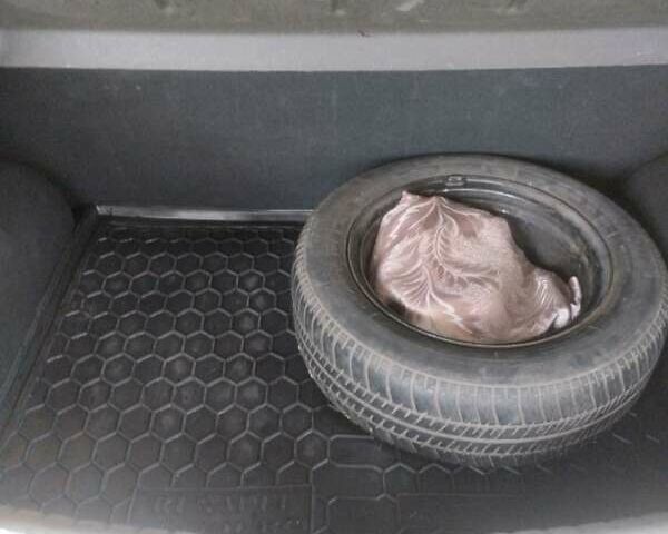 Серый Дачия Сандеро, объемом двигателя 1.15 л и пробегом 177 тыс. км за 4200 $, фото 7 на Automoto.ua