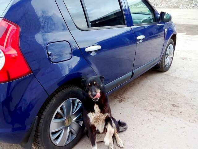 Синій Дачія Sandero, об'ємом двигуна 1.4 л та пробігом 123 тис. км за 4500 $, фото 1 на Automoto.ua