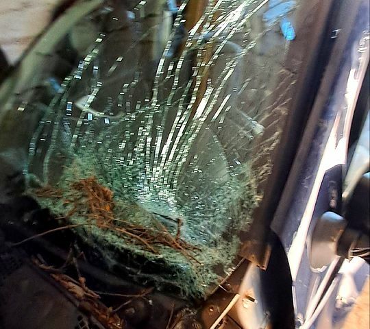 Синий Дачия Сандеро, объемом двигателя 1.2 л и пробегом 108 тыс. км за 1500 $, фото 2 на Automoto.ua