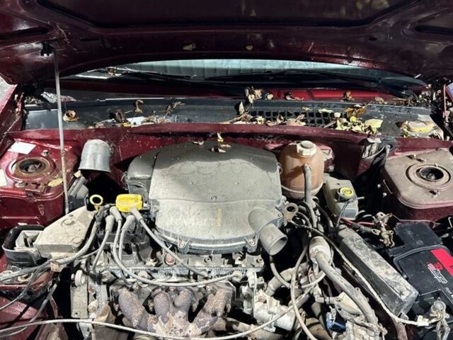 Красный Дачия Соленза, объемом двигателя 1.4 л и пробегом 200 тыс. км за 800 $, фото 5 на Automoto.ua