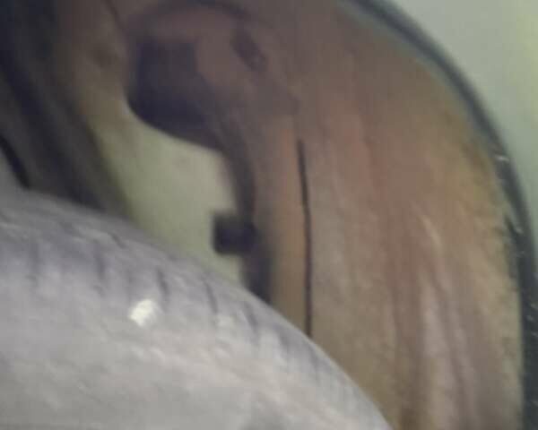 Белый Дачия Duster, объемом двигателя 1.6 л и пробегом 162 тыс. км за 7800 $, фото 34 на Automoto.ua