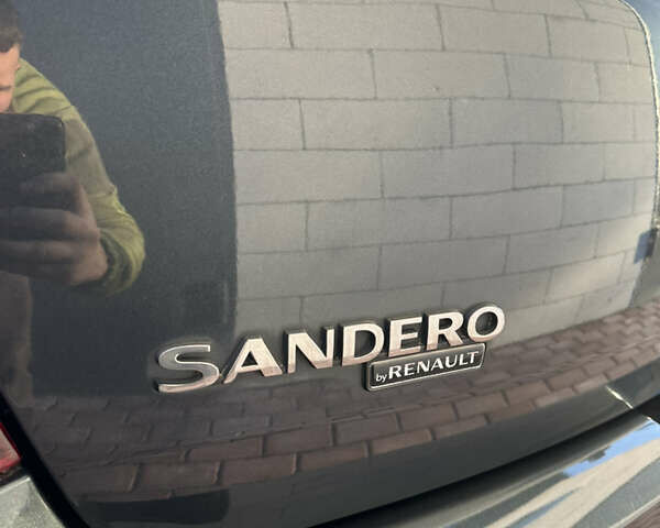 Серый Дачия Sandero StepWay, объемом двигателя 1.6 л и пробегом 180 тыс. км за 6699 $, фото 51 на Automoto.ua