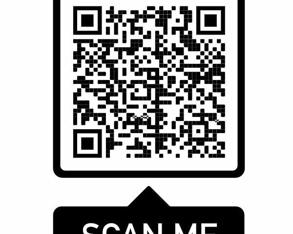 Серый Дачия Sandero StepWay, объемом двигателя 1.5 л и пробегом 181 тыс. км за 7500 $, фото 20 на Automoto.ua