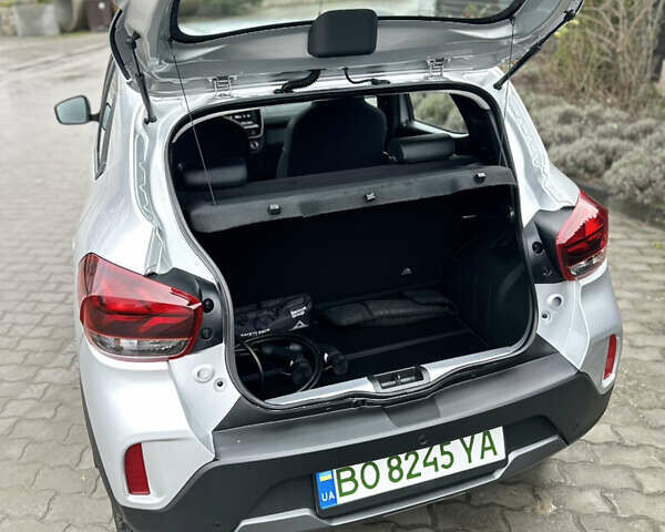 Серый Дачия Spring, объемом двигателя 0 л и пробегом 1 тыс. км за 11800 $, фото 10 на Automoto.ua